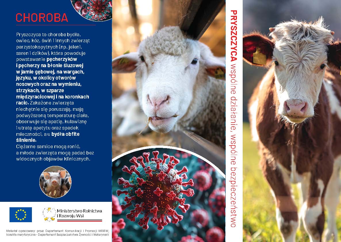 ulotka-GIW-pryszczyca_Page_1 | img